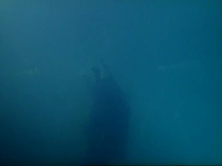 Under the ice - Alias