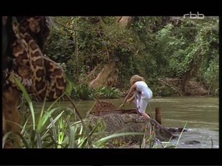 Eine Rose Fuer Den Maharadscha