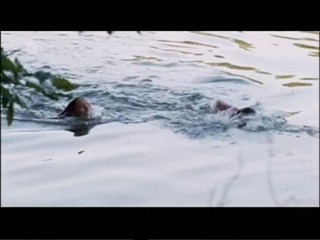 Das Wunder von Berlin