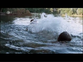 Das Wunder von Berlin