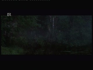 Wer frÃ¼her stirbt ist lÃ¤nger tot