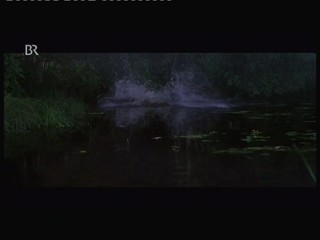 Wer frÃ¼her stirbt ist lÃ¤nger tot