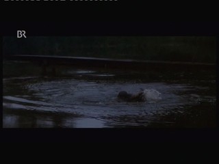 Wer frÃ¼her stirbt ist lÃ¤nger tot