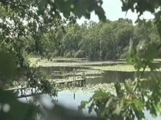 Cache Cash - aka Lisa and Antoine