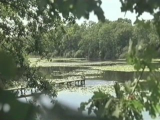 Cache Cash - aka Lisa and Antoine