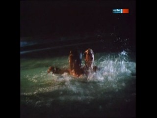 Polizeiruf 110 Es ist nicht immer Sonnenschein