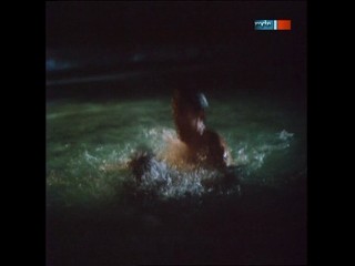 Polizeiruf 110 Es ist nicht immer Sonnenschein