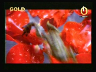 2 Unlimited - Nothing LikeThe Rain