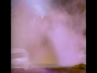 The Malibu Bikini Shop