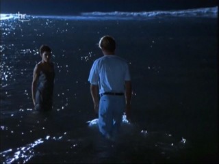 Klinik unter Palmen â€“ Karibik