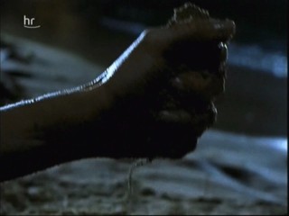 Klinik unter Palmen â€“ Karibik