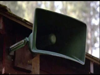 The Bikini Carwash Company