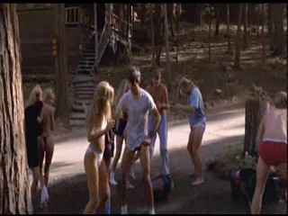 The Bikini Carwash Company