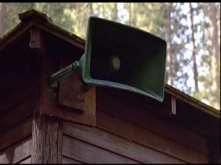 The Bikini Carwash Company