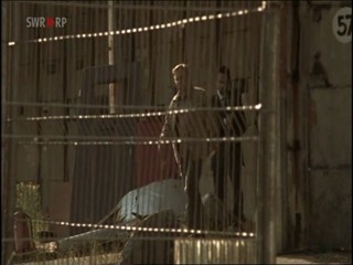 Tatort: - Der dunkle Fleck 