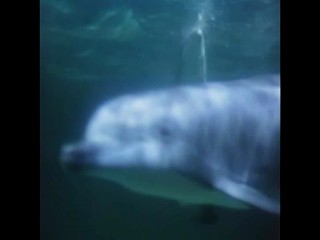 Die Besucher â€“ NÃ¡vÅ¡tÄ›vnÃ­ci