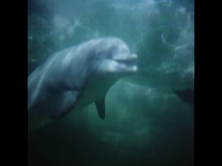 Die Besucher â€“ NÃ¡vÅ¡tÄ›vnÃ­ci