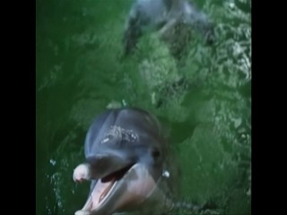 Die Besucher â€“ NÃ¡vÅ¡tÄ›vnÃ­ci