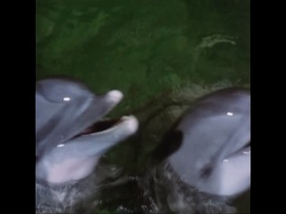 Die Besucher â€“ NÃ¡vÅ¡tÄ›vnÃ­ci