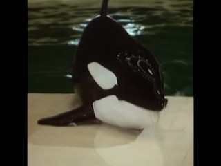 Die Besucher â€“ NÃ¡vÅ¡tÄ›vnÃ­ci 