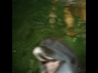 Die Besucher â€“ NÃ¡vÅ¡tÄ›vnÃ­ci 