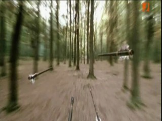 House Of Flying Daggers