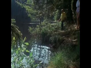 Die Schwarzwaldklinik