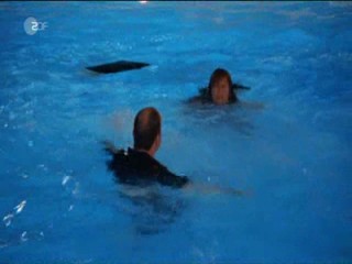 LÃ¼gen haben linke HÃ¤nde