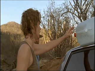 Im Meer der LÃ¼gen