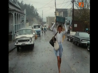 The War of the Roses