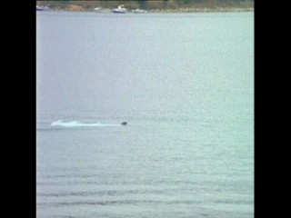 Sous Le Soleil - Le Beau Mariage