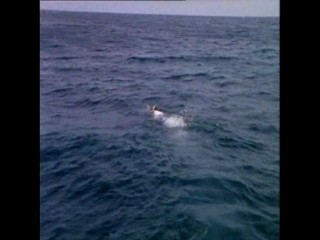 Sous Le Soleil - Le Beau Mariage