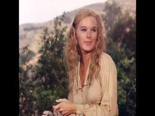 The Big Valley - Young Marauders