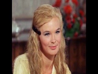 The Big Valley - Young Marauders