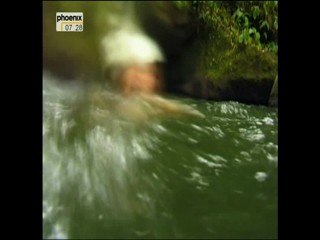 Phoenix - Travel Show