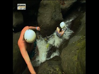 Phoenix - Travel Show