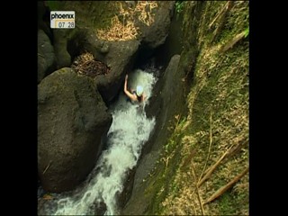 Phoenix - Travel Show