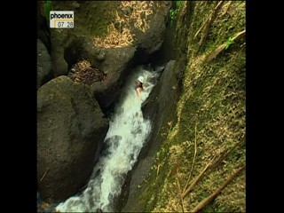 Phoenix - Travel Show