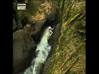 Phoenix - Travel Show