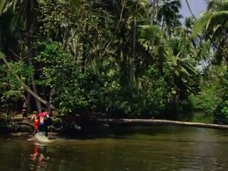 Sterne des SÃ¼dens - Flucht aus dem Dschungel