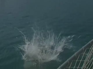 Sterne des SÃ¼dens - Bauchtanz