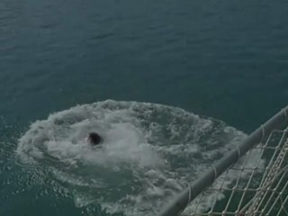 Sterne des SÃ¼dens - Bauchtanz