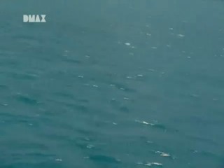 Man, Woman, Wild - Lost at Sea, Bermuda