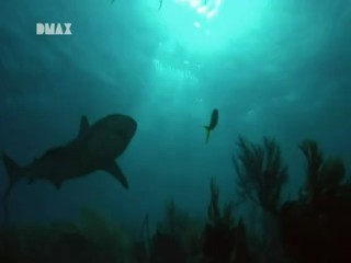 Man, Woman, Wild - Lost at Sea, Bermuda