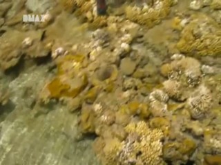 Man, Woman, Wild - South Pacific