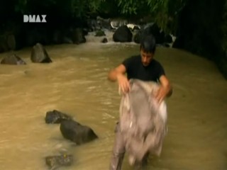 Man, Woman, Wild - Rain Forest