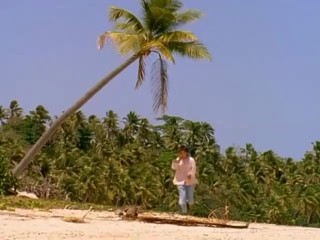 Swiss Family Robinson - The Light Of The World