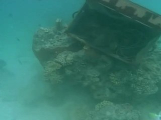 Swiss Family Robinson - The Light Of The World