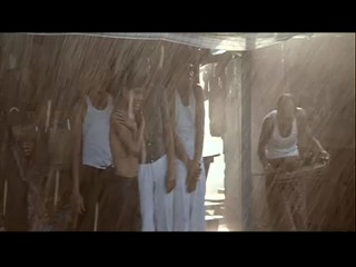 The Year of Living Dangerously