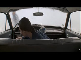 The Year of Living Dangerously